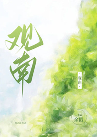 观南全文免费阅读完结